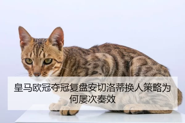 huang-ma-ou-guan-duo-guan-fu-pan-an-qie-luo-di-huan-ren-ce-lve-wei-he-lv-ci-zou-xiao-2-643.jpg